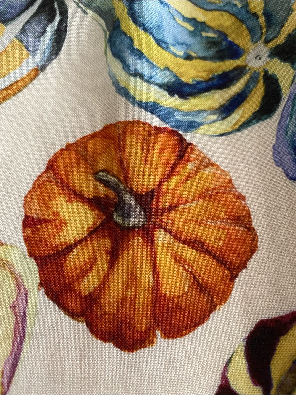 ModCloth Fall Colourful Pumpkins Gourds Print Midi Skirt Full gathered Size XL - Picture 12 of 13